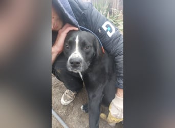 Graf Poldi sucht seine Menschen