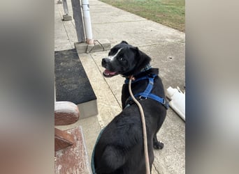 Graf Poldi sucht seine Menschen