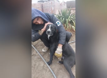 Graf Poldi sucht seine Menschen