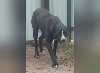 Graf Poldi sucht seine Menschen