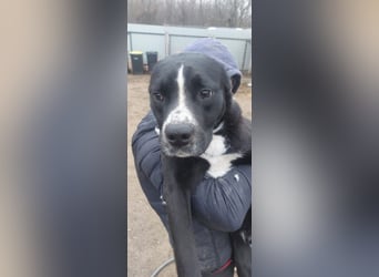 Graf Poldi sucht seine Menschen