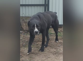 Graf Poldi sucht seine Menschen