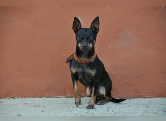 Schenkst du Quiqui ein weiches Körbchen?