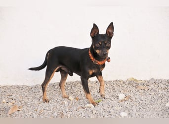 Schenkst du Quiqui ein weiches Körbchen?