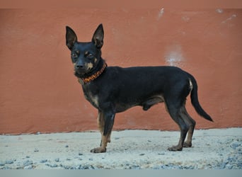 Darf Quiqui direkt wieder in ein weichen Körbchen ziehen?