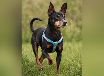 Lucio - ein freundlicher Begleiter