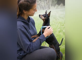 Lucio - ein freundlicher Begleiter