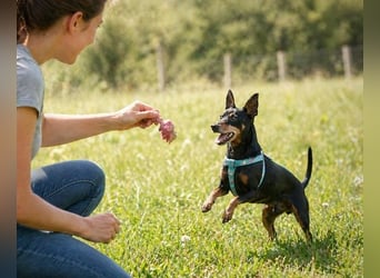 Lucio - ein freundlicher Begleiter