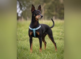 Lucio - ein freundlicher Begleiter