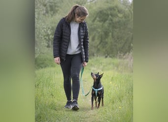 Lucio - ein freundlicher Begleiter