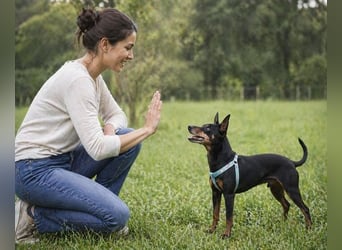 Lucio - ein freundlicher Begleiter