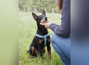 Lucio - ein freundlicher Begleiter