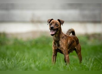 Darf Lio mit Ihnen auf große Abenteuer gehen?