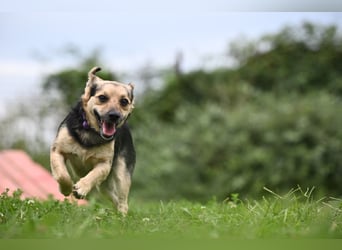 Lolek - mit 8 Kilo durch dick und dünn