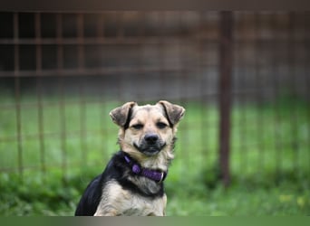 Lolek - mit 8 Kilo durch dick und dünn