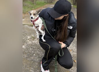 Zarte Lori sucht ihre Menschen