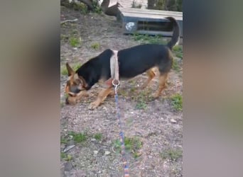 Rita: klein, aber oho!