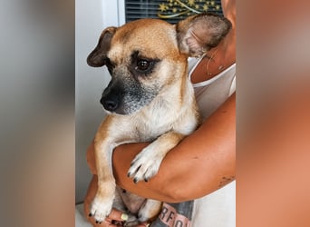 Carmen: sie sucht 1000 Streichelhände