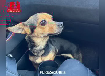 Rita: klein, aber oho!