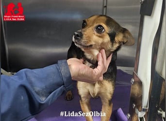 Rita: klein, aber oho!