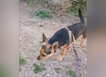 Rita: klein, aber oho!