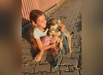 FELICE ♥ - Gerettet vor dem Tod durch Erschießen; 2023