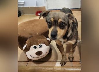 FELICE - Gerettet vor dem Tod durch Erschießen; 2023