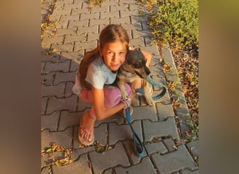 FELICE - Gerettet vor dem Tod durch Erschießen; 2023