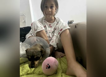 FELICE ♥ - Gerettet vor dem Tod durch Erschießen; 2023