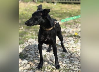 Zora ein ängstlicher Engel