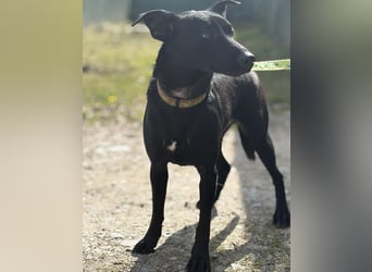 Zora ein ängstlicher Engel