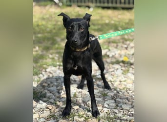 Zora ein ängstlicher Engel