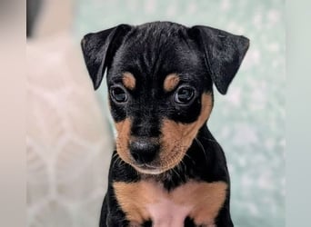 Zuckersüßer AQUILES-verschmuster, verspielter Bub sucht liebevolle Für-immer-Familie