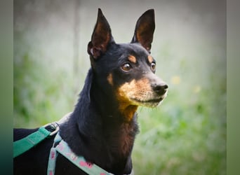 Lucio - ein freundlicher Begleiter