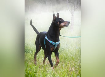 Lucio - ein freundlicher Begleiter