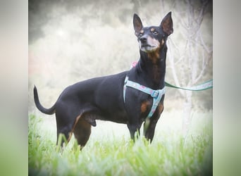 Lucio - ein freundlicher Begleiter