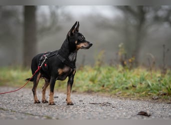 Schenkst du Quiqui einen Platz in deinem Leben?