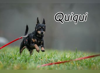 Schenkst du Quiqui einen Platz in deinem Leben?