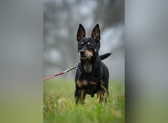 Schenkst du Quiqui einen Platz in deinem Leben?