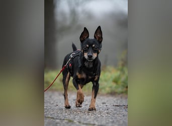 Schenkst du Quiqui einen Platz in deinem Leben?