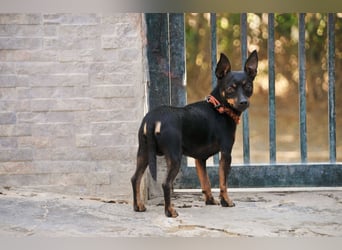 Schenkst du Quiqui einen Platz in deinem Leben?