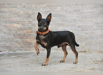 Schenkst du Quiqui ein weiches Körbchen?