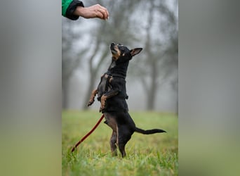 Schenkst du Quiqui einen Platz in deinem Leben?