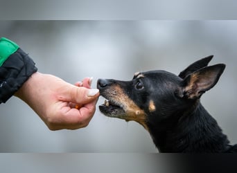 Schenkst du Quiqui einen Platz in deinem Leben?