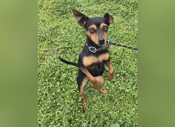 Glamour - einfach glamourös