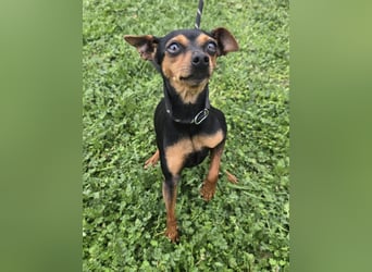 Glamour - einfach glamourös