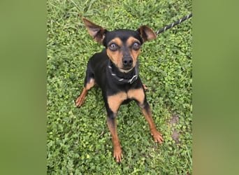 Glamour - einfach glamourös