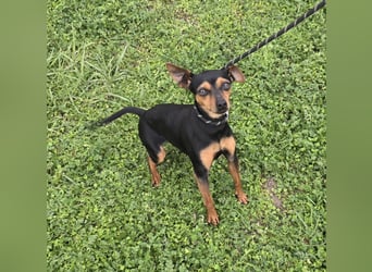 Glamour - einfach glamourös