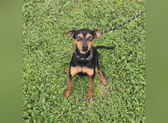 Glamour - einfach glamourös