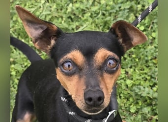 Glamour - einfach glamourös